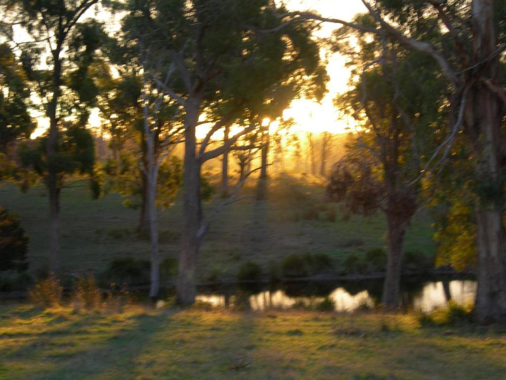 Platypus Park Country Retreat Villa Bridport Room photo