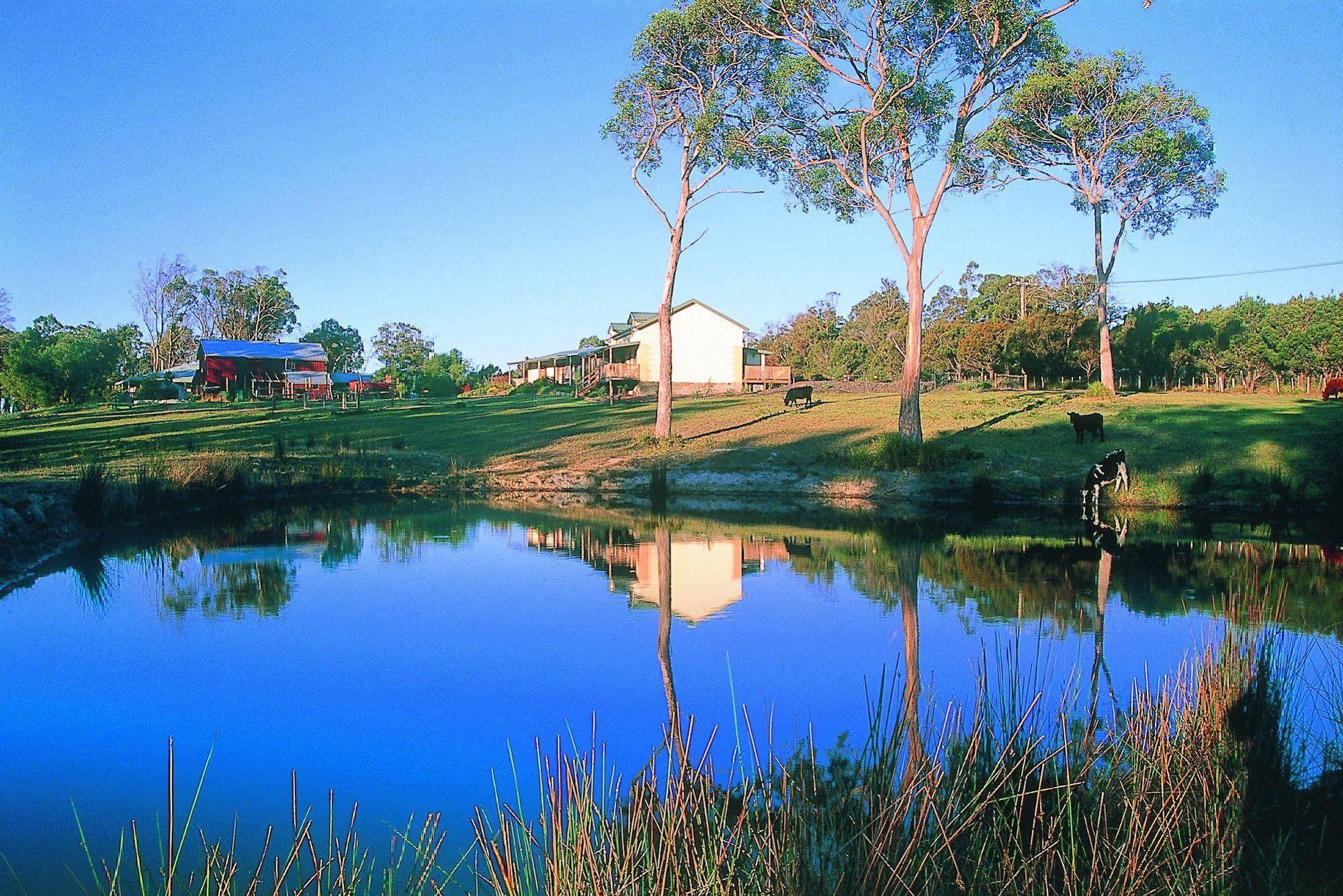 Platypus Park Country Retreat Villa Bridport Exterior photo
