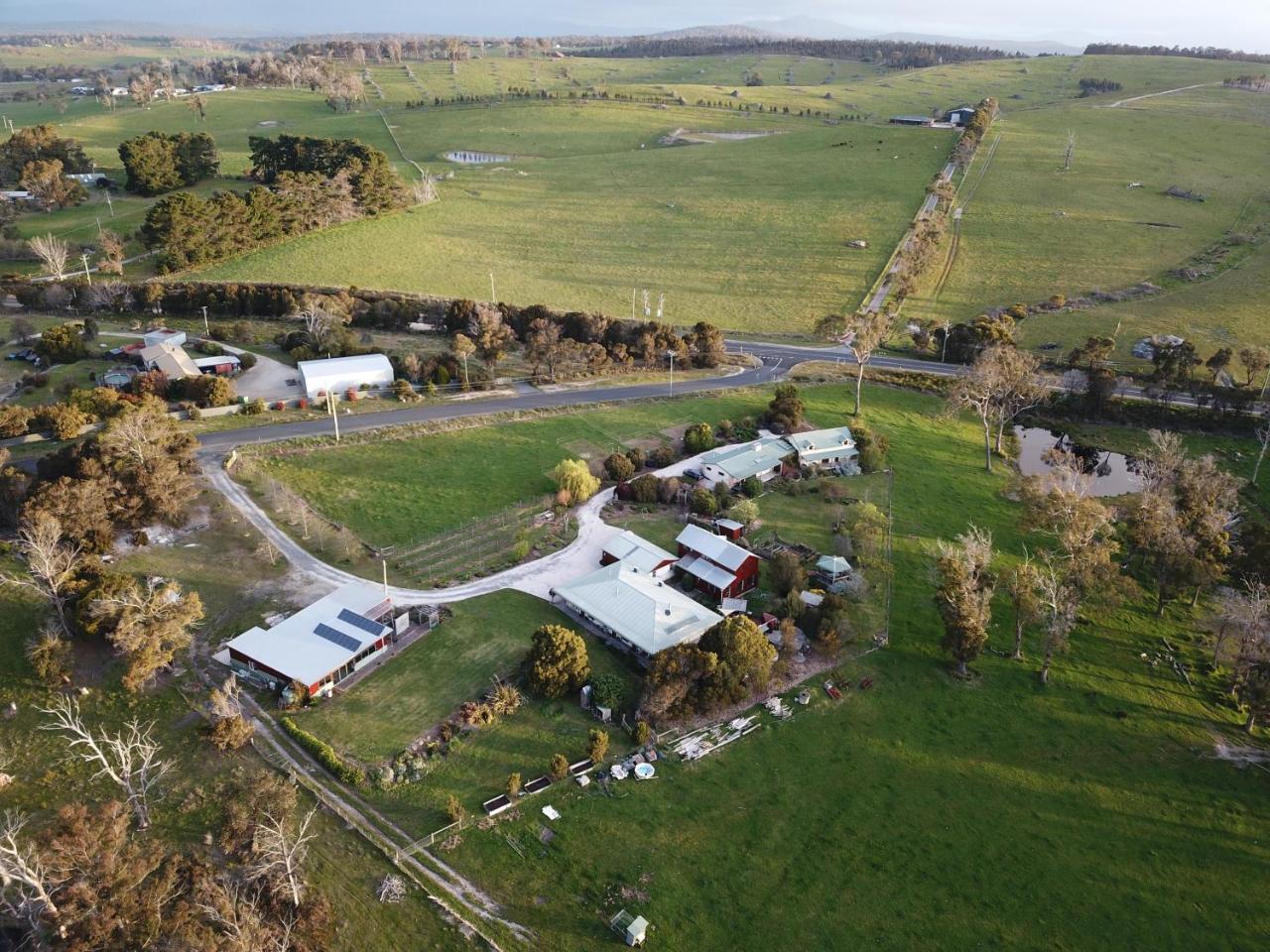 Platypus Park Country Retreat Villa Bridport Exterior photo